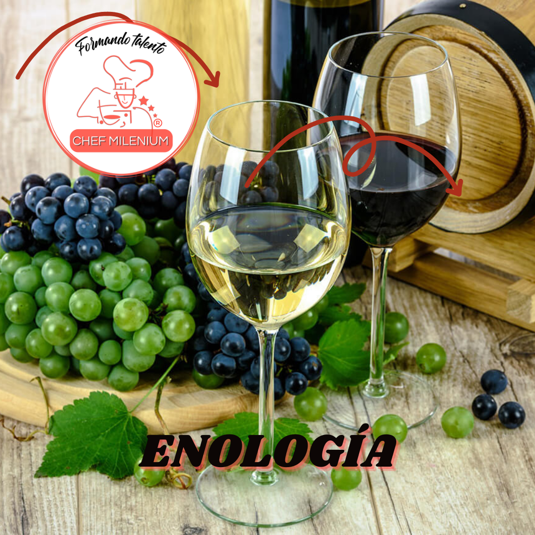ENOLOGÍA